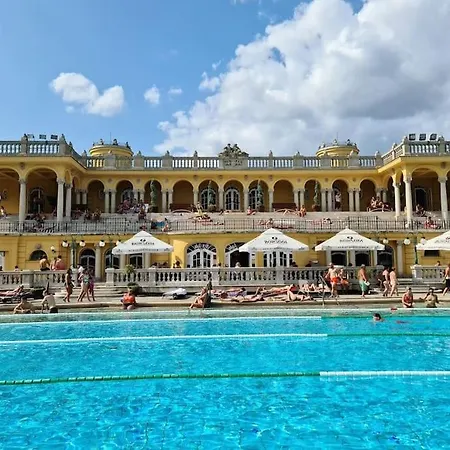 Modern With Garage Budapesta