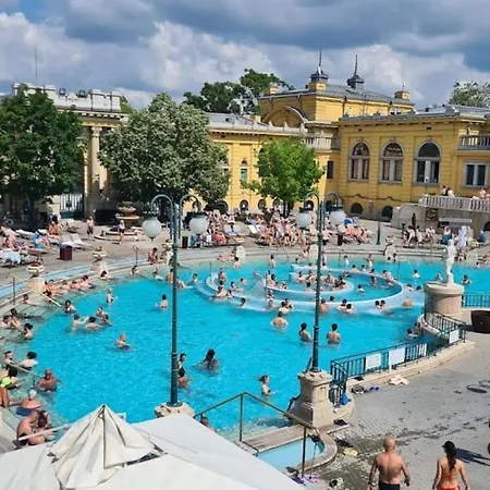 Modern With Garage Appartement