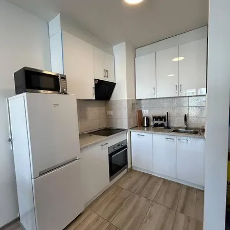 Modern With Garage * Budapeste